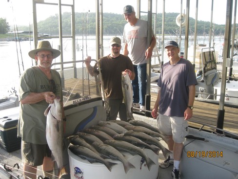 Nice Striped Bass